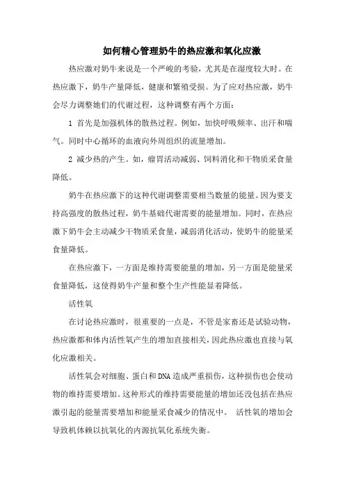 如何精心管理奶牛的热应激和氧化应激
