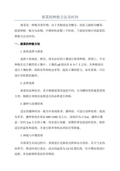 甜菜的种植方法及时间