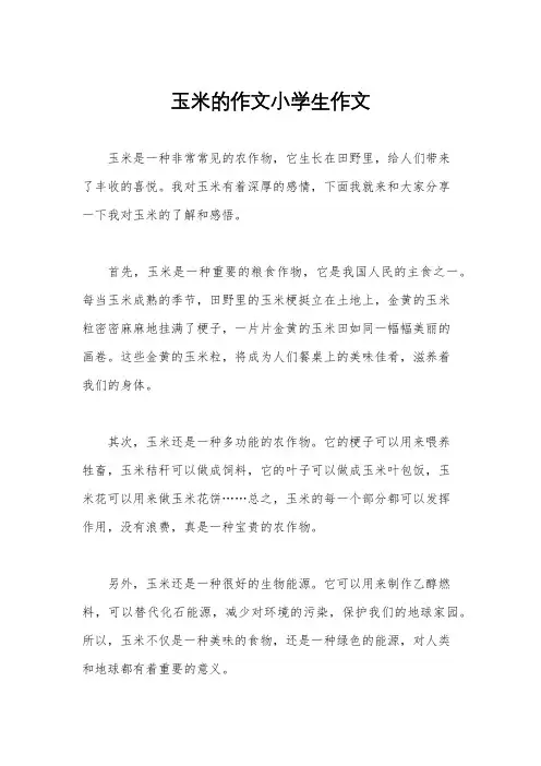 玉米的作文小学生作文