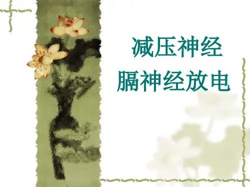 【机能实验】家兔减压神经、膈神经放电