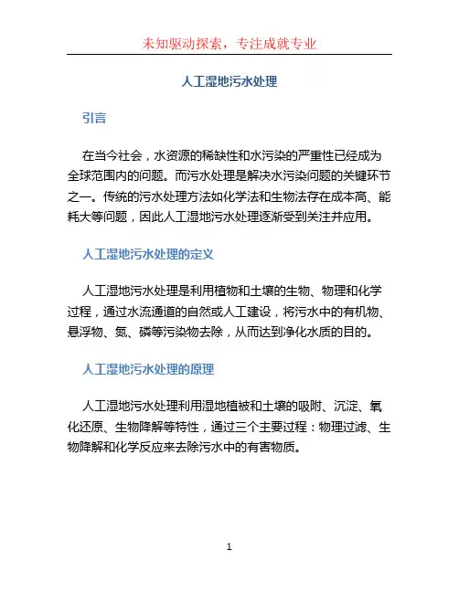 人工湿地污水处理