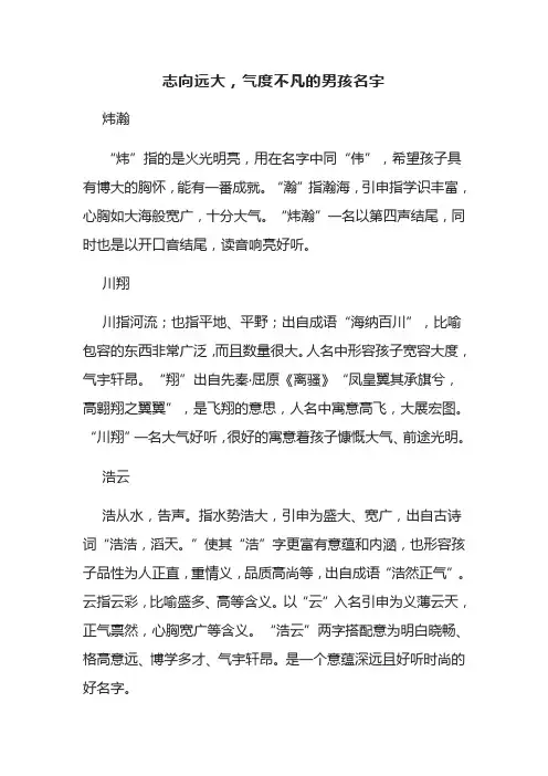 志向远大气度不凡的男孩名字