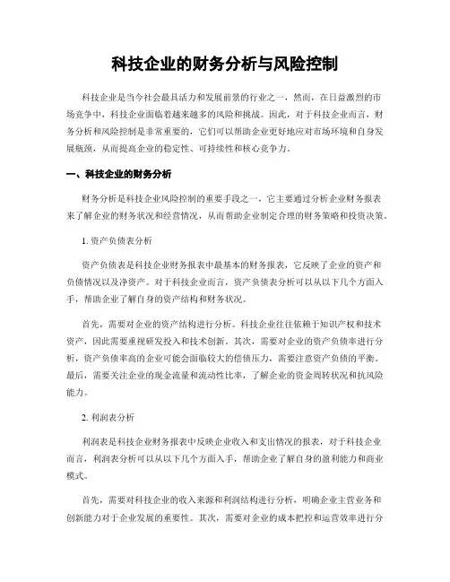 科技企业的财务分析与风险控制
