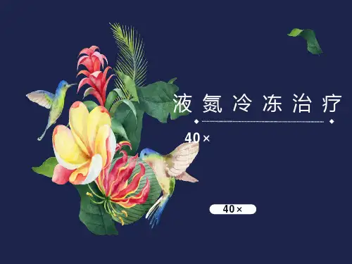 皮肤科液氮冷冻治疗