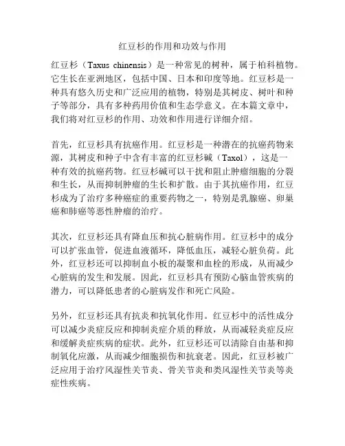 红豆杉的作用和功效与作用