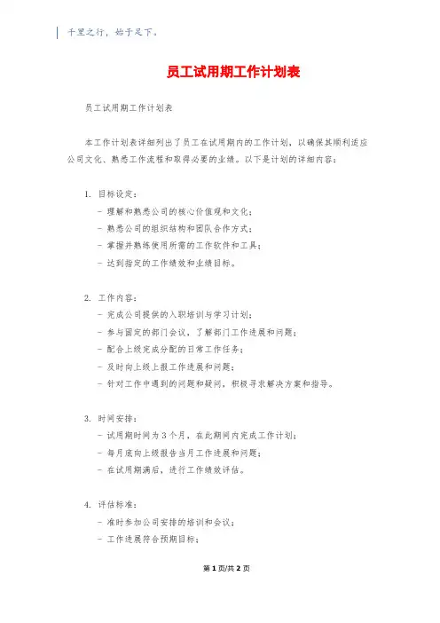 员工试用期工作计划表