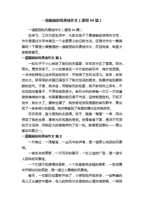 一道靓丽的风景线作文（通用44篇）