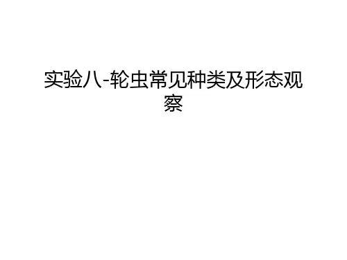 实验八-轮虫常见种类及形态观察讲解学习