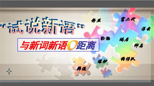 高中语文新词新语与流行文化课件PPT 