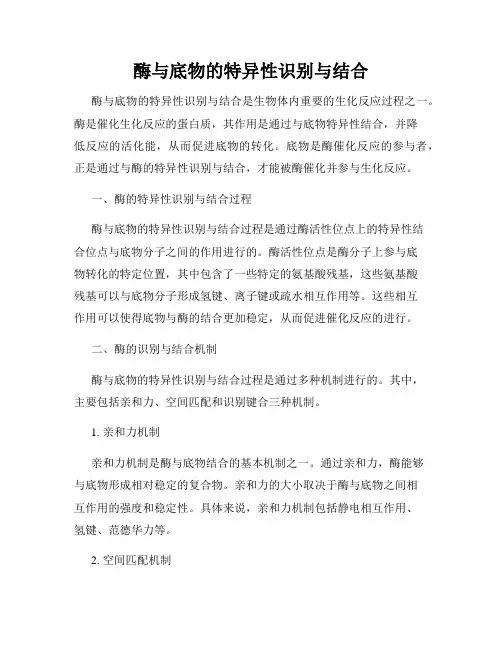 酶与底物的特异性识别与结合