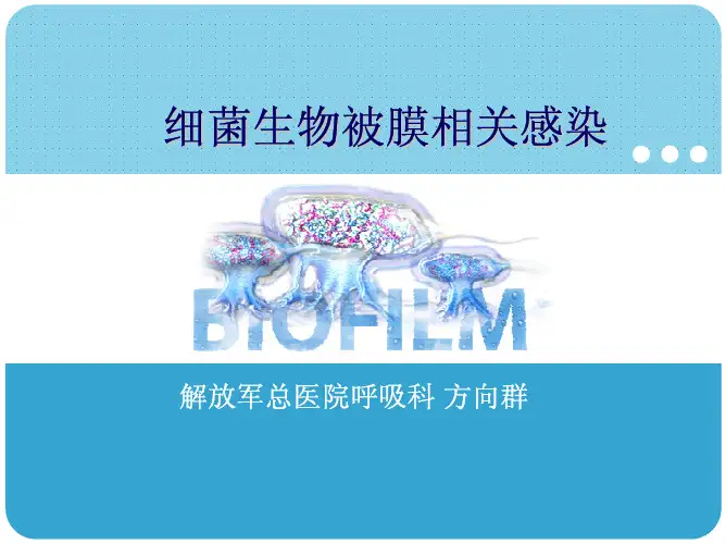 生物被膜1
