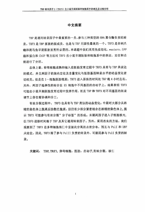 TBP相关因子3(TRF3)在小鼠早期胚胎和细胞系中的表达及功能分析