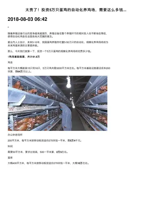 太贵了！投资5万只蛋鸡的自动化养鸡场，需要这么多钱...