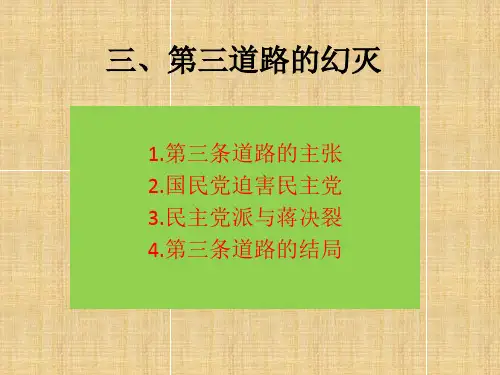 第三道路的幻灭