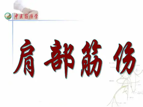 肩部筋知识