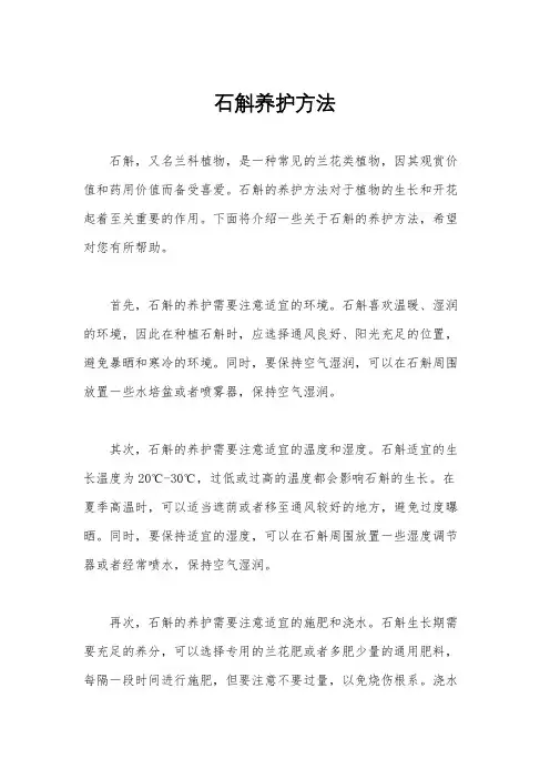 石斛养护方法