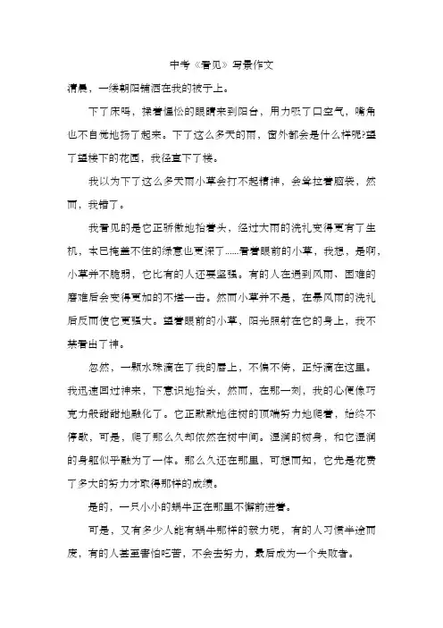中考《看见》写景作文