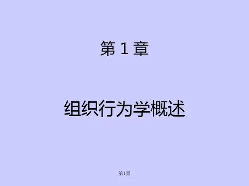 组织行为学介绍PPT课件