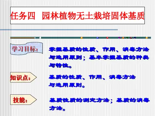 固体基质的认知