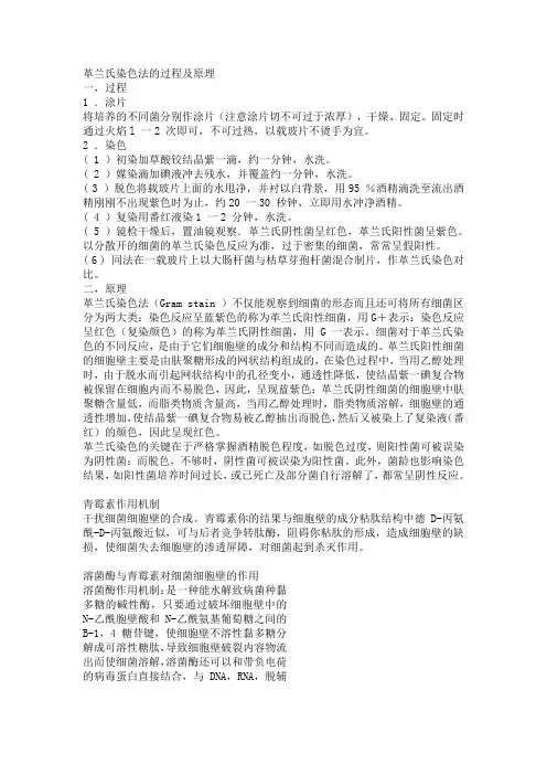 革兰氏染色法的过程及原理