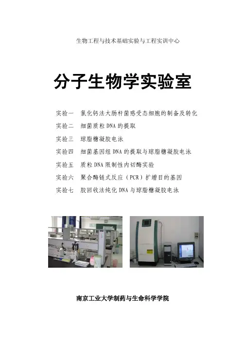 分子生物学实验手册 -高校教材资料精