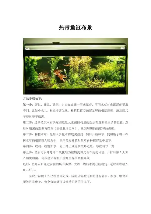 热带鱼缸布景