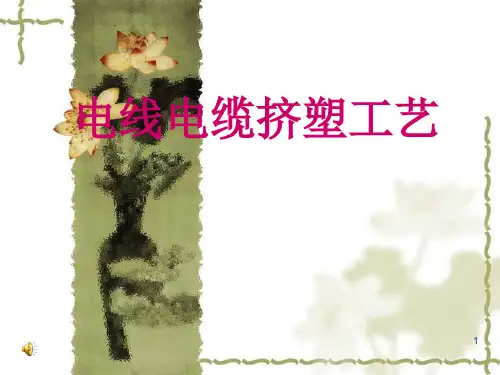 电线电缆挤塑工艺ppt课件