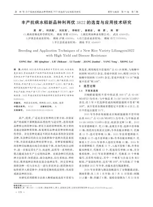 丰产抗病水稻新品种利两优3822的选育与应用技术研究