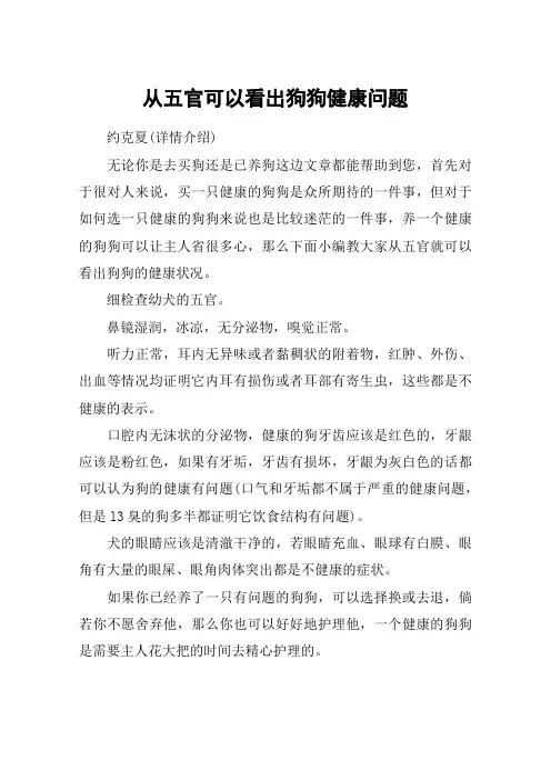 从五官可以看出狗狗健康问题