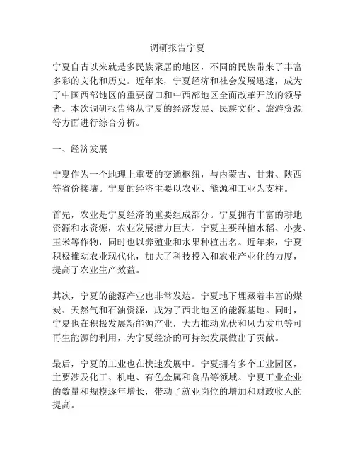 调研报告宁夏