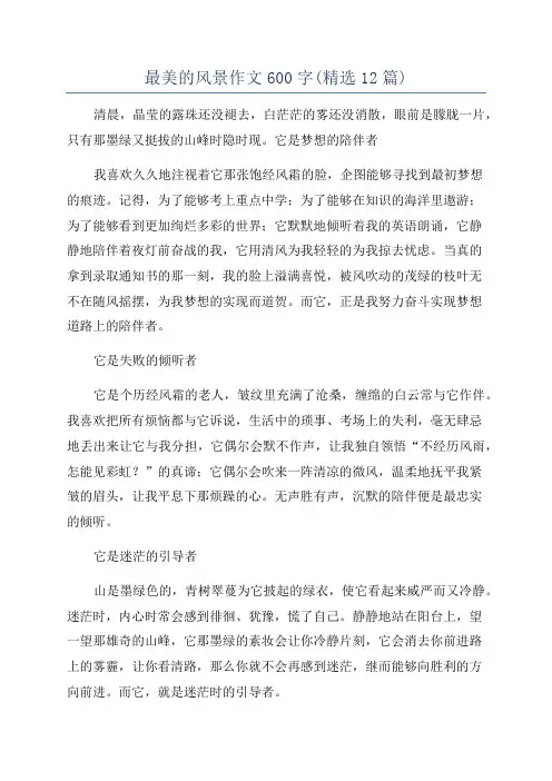 最美的风景作文600字(精选12篇)