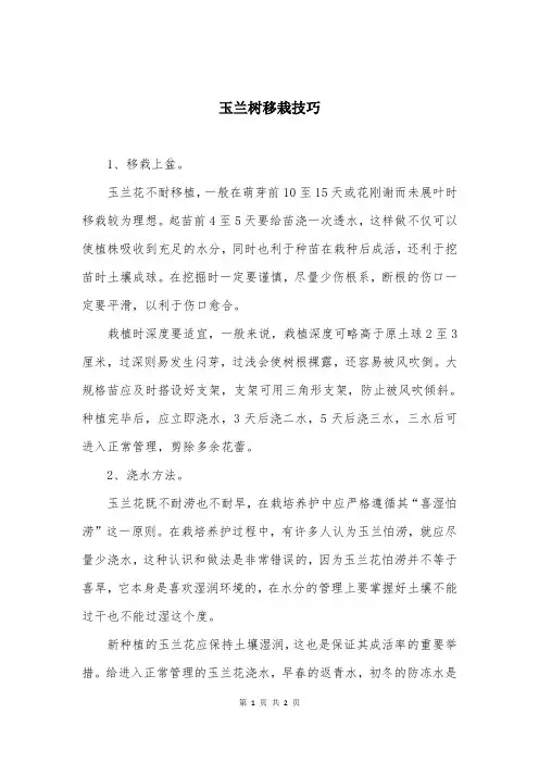 玉兰树移栽技巧