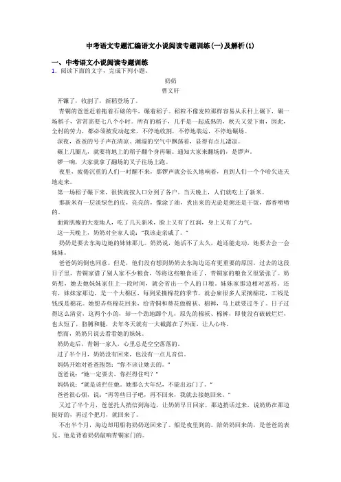 中考语文专题汇编语文小说阅读专题训练(一)及解析(1)