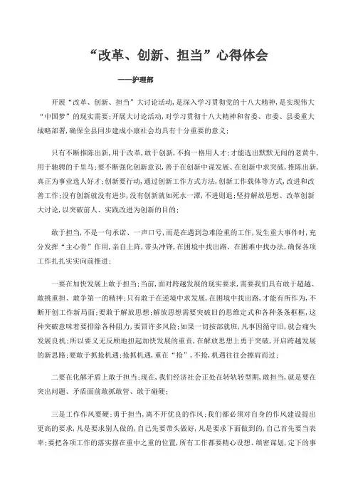 改革创新担当心得体会