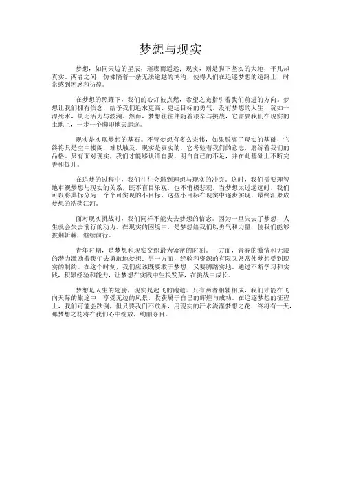 梦想与现实