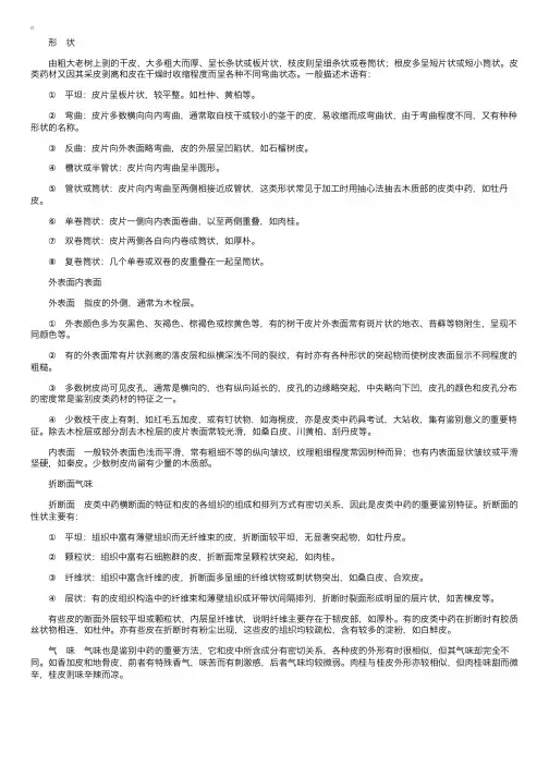 中药鉴定学：性状鉴定——皮类中药