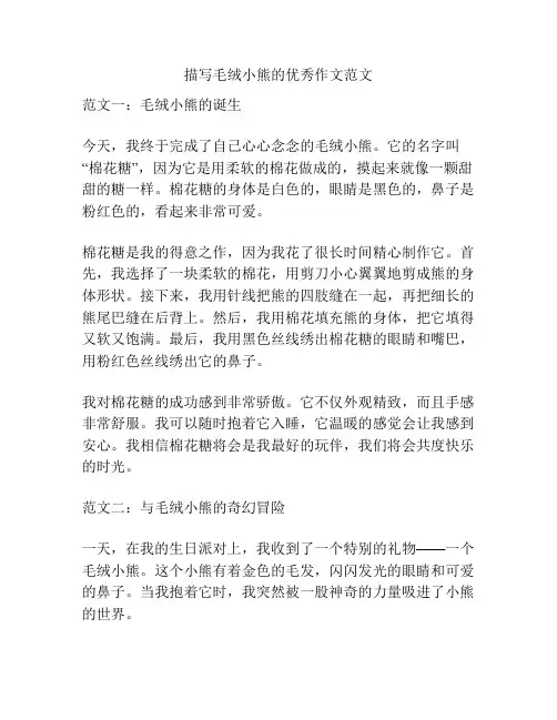 描写毛绒小熊的优秀作文范文