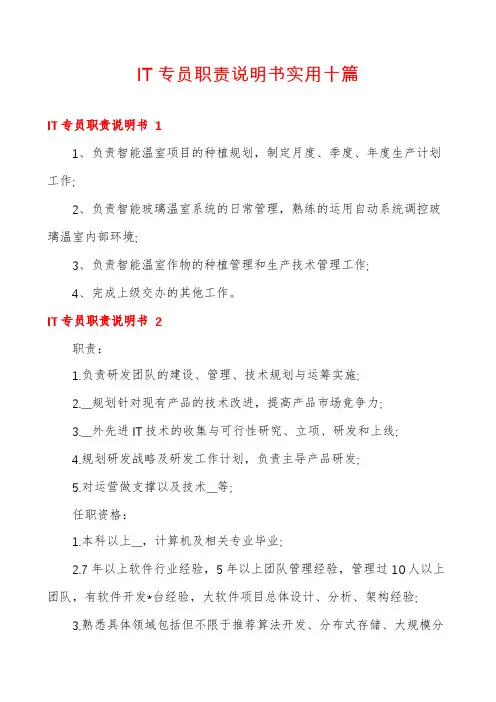 IT专员职责说明书实用十篇