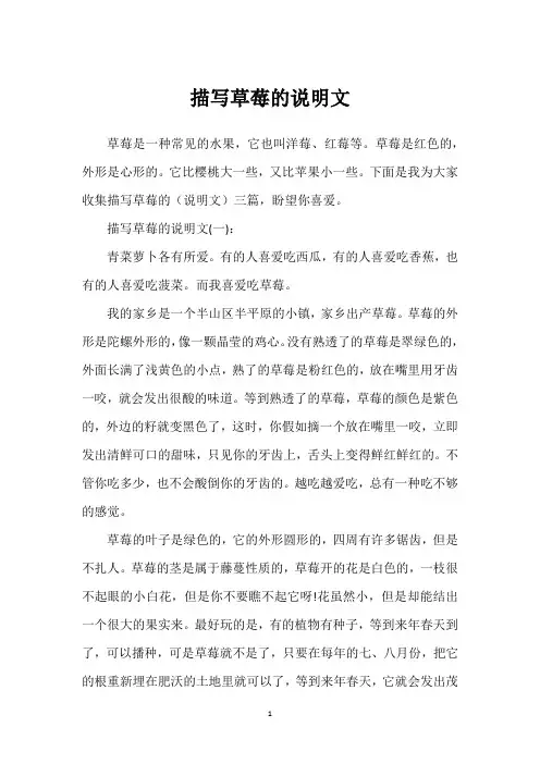 描写草莓的说明文