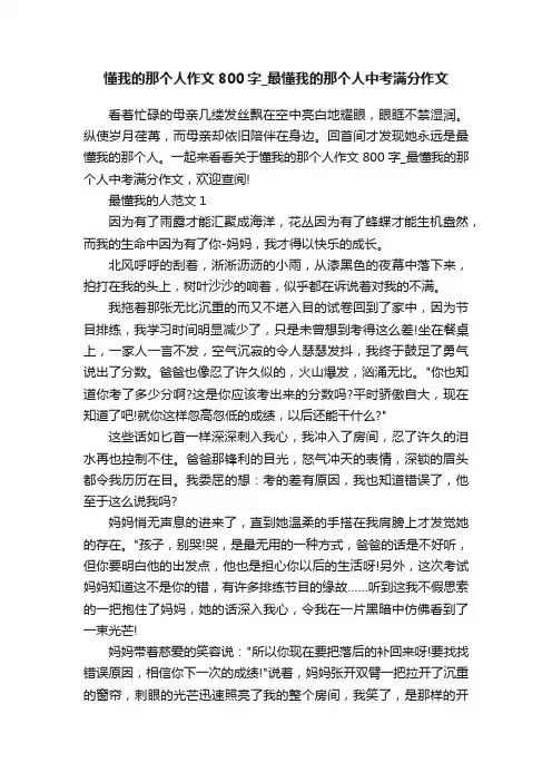 懂我的那个人作文800字_最懂我的那个人中考满分作文