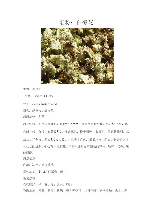 中药分析以及药性 白梅花