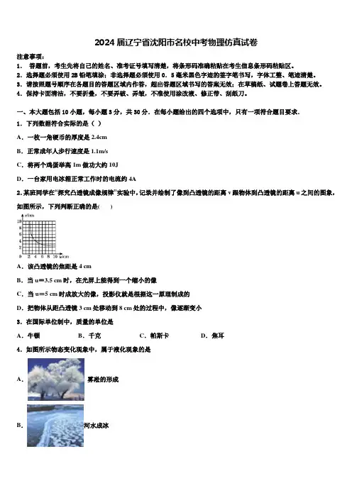 2024届辽宁省沈阳市名校中考物理仿真试卷含解析