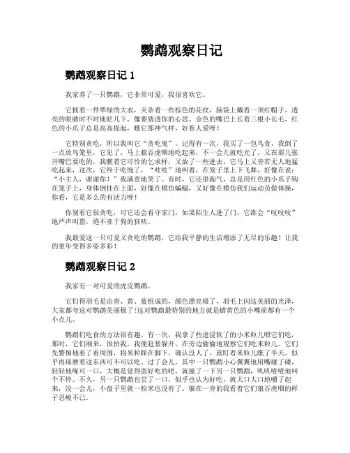 鹦鹉观察日记