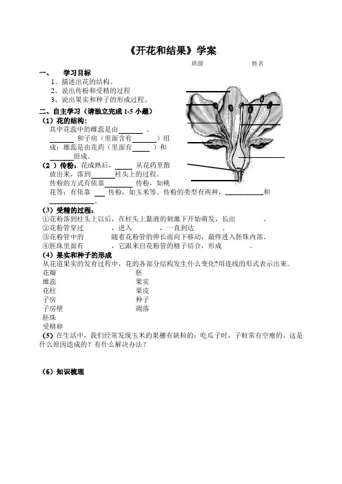开花和结果导学案