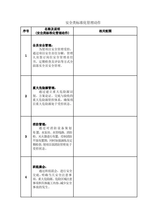 安全类标准化管理动作