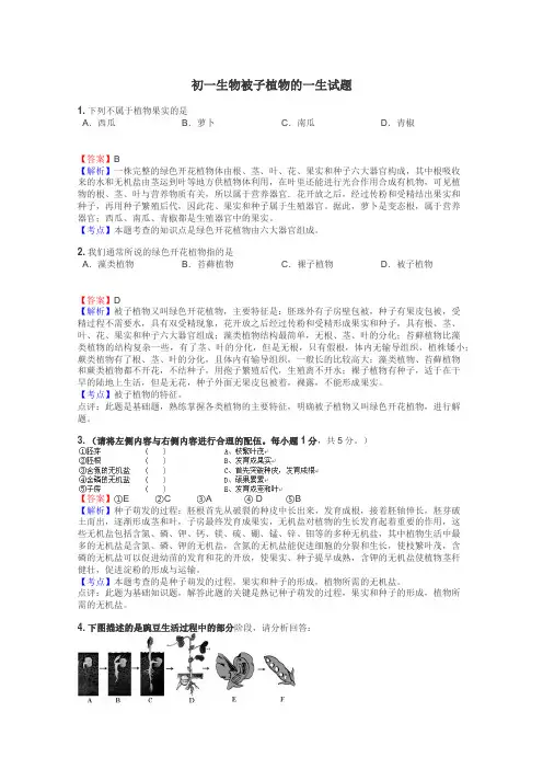 初一生物被子植物的一生试题
