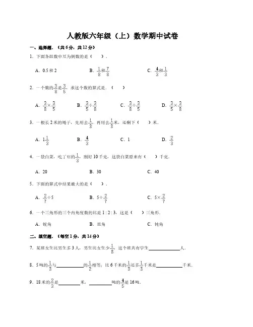 人教版六年级(上)数学期中试卷(含答案)