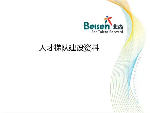 人才梯队建设资料 ppt课件