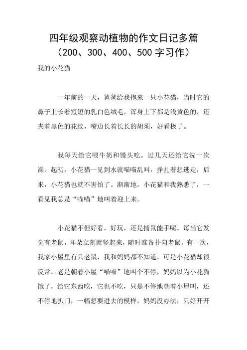 四年级观察动植物的作文日记多篇(200、300、400、500字习作)