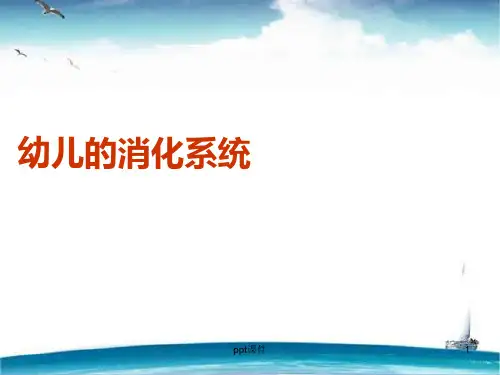 幼儿的消化系统  ppt课件